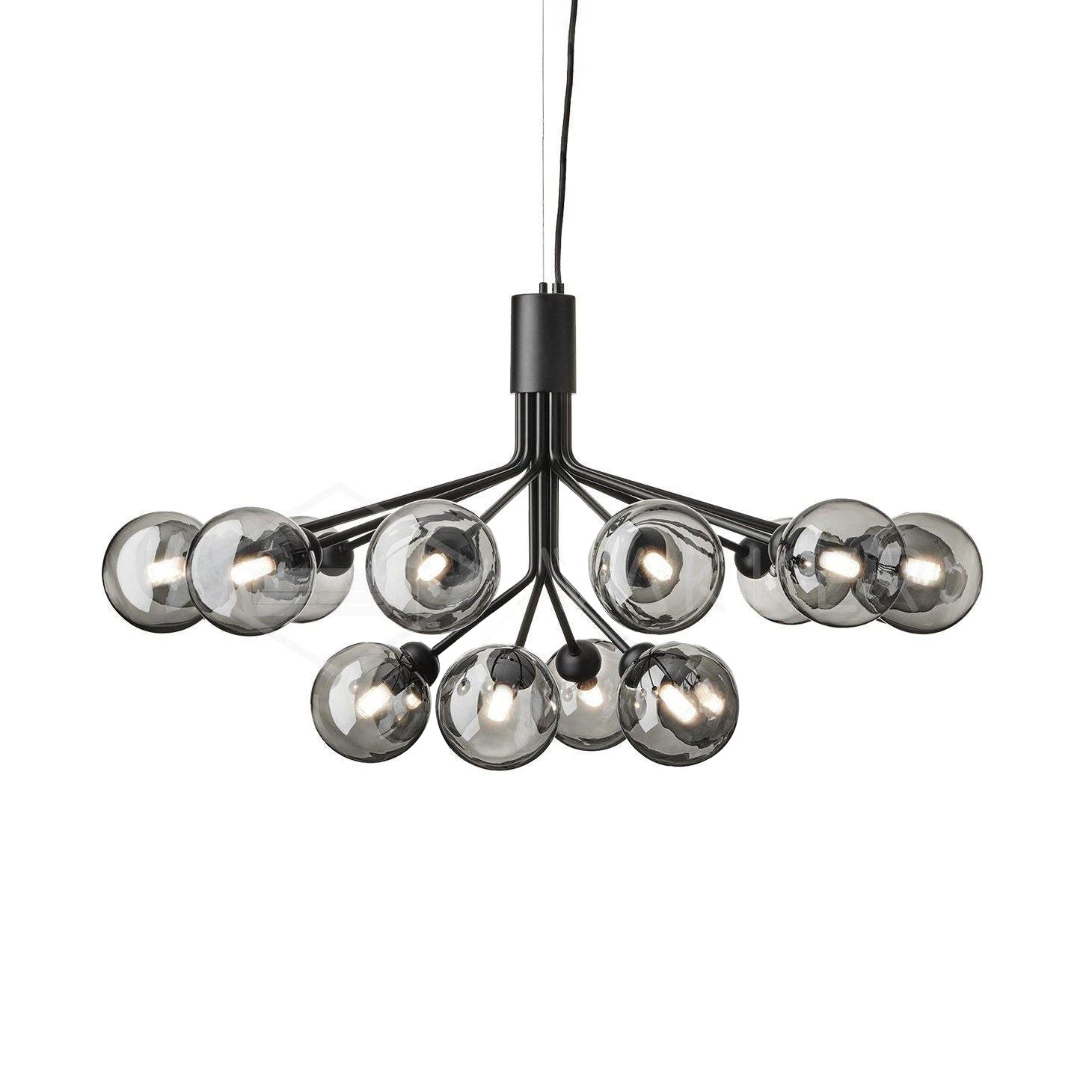 Apiales Chandelier