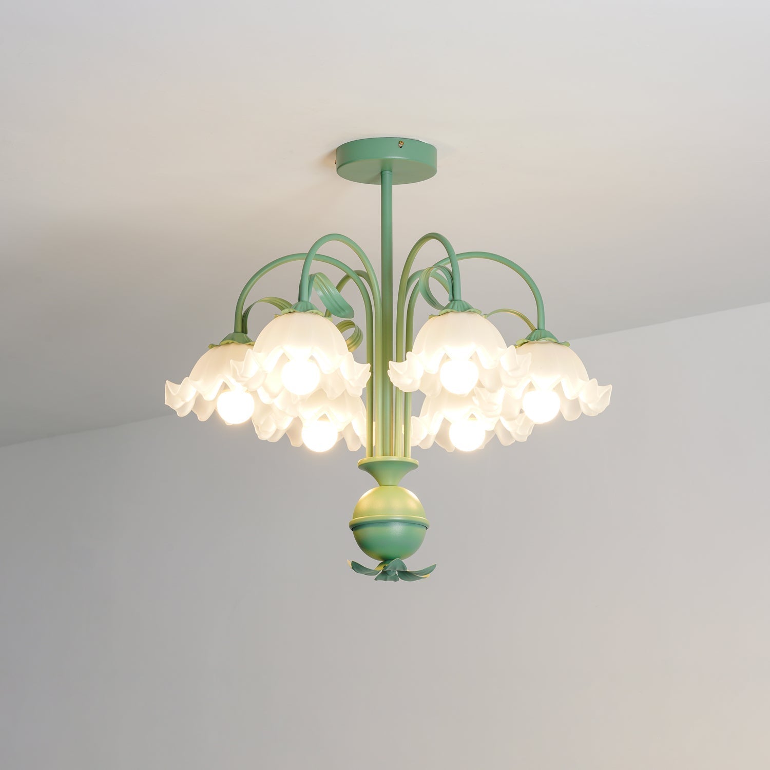 Lustre Bell Orchid 