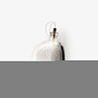 Mesh Glass  Wall Lamp