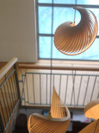 Nautilus Shell Pendant Light
