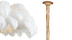 Ostrich Feather Chandelier