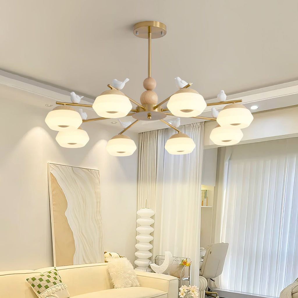 Lustre Ozawa 