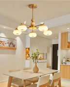 Lustre Ozawa 
