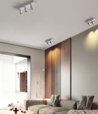 POG Double Linear Spotlight