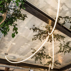 Flexible Curve linear Pendant Lamp
