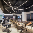 Flexible Curve linear Pendant Lamp