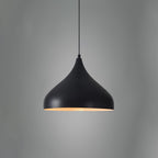 Vintage Industrial Collections Pendant Light